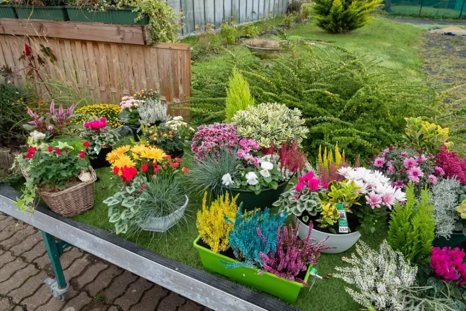 Fleuriste à Bertincourt