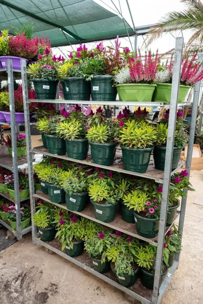 etalage-pots