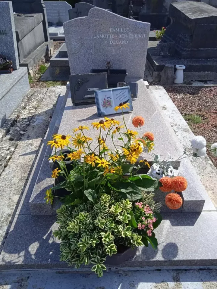 fleur-cimetiere