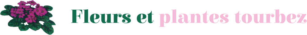 logo-vert
